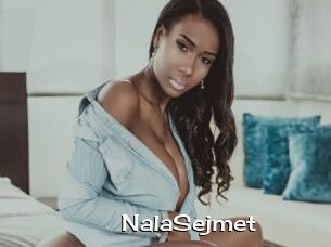 NalaSejmet