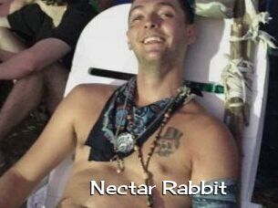 Nectar_Rabbit