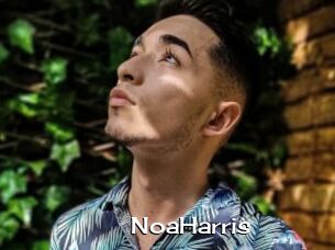 NoaHarris