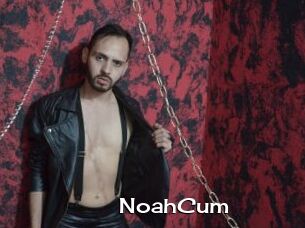 NoahCum