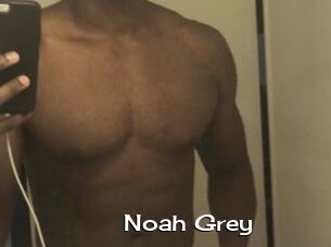 Noah_Grey