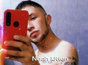Noah_kitten