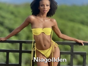Niagollden