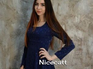Nicecatt