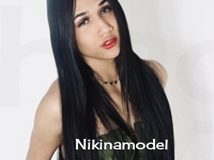 Nikinamodel