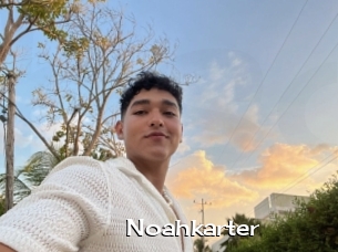 Noahkarter