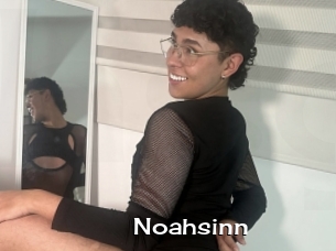 Noahsinn