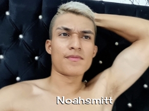 Noahsmitt