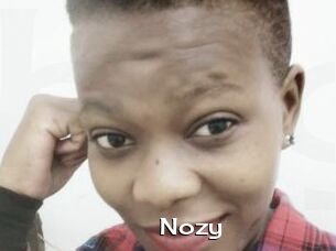 Nozy