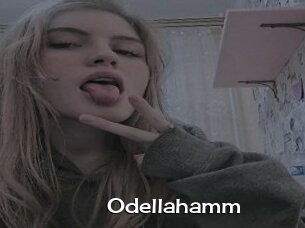 Odellahamm