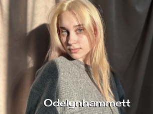 Odelynhammett