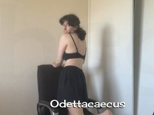 Odettacaecus