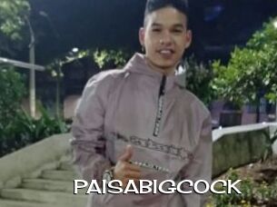 PAISABIGCOCK
