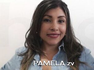 PAMELA_zv