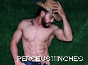 PERSEUS11INCHES