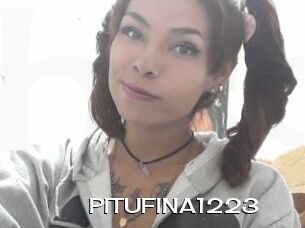 PITUFINA1223