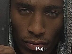 Paju