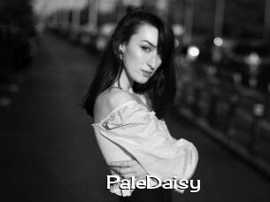 PaleDaisy