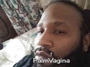 PalmVagina