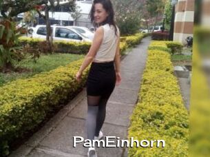 PamEinhorn