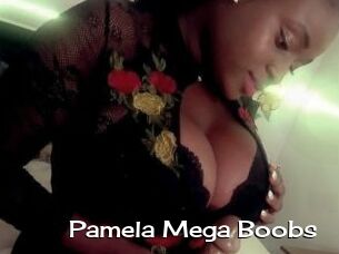 Pamela_Mega_Boobs