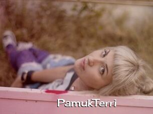 PamukTerri