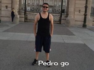 Pedro_go