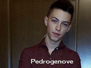 Pedrogenove