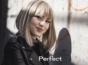 Perfect Hardcore Sex Gif