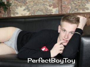 PerfectBoyToy