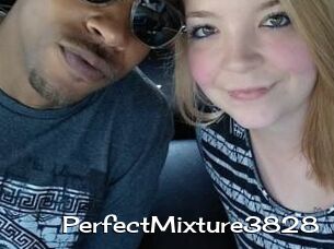PerfectMixture3828