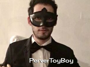 PerverToyBoy