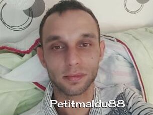 Petitmaldu88