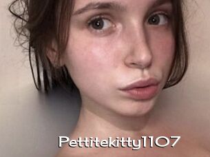 Pettitekitty1107