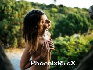 PhoenixBirdX