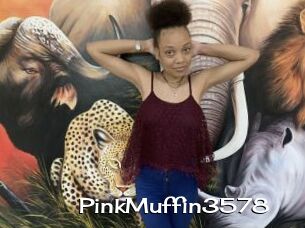 PinkMuffin3578