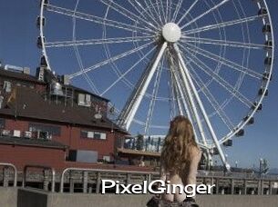 PixelGinger