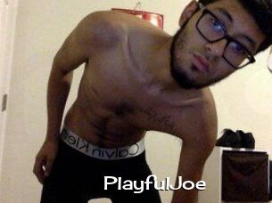 PlayfulJoe