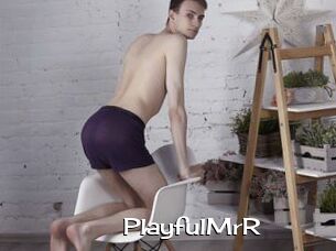 PlayfulMrR