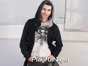PlayfulNigel