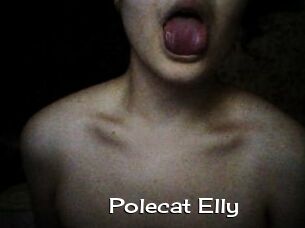 Polecat_Elly