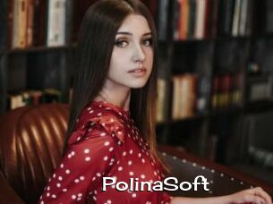 PolinaSoft