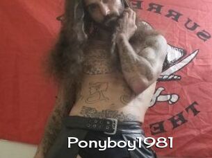 Ponyboy1981