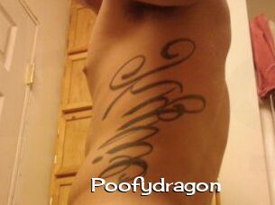 Poofydragon