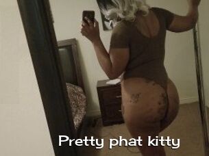 Pretty_phat_kitty