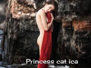 Princess_cat_ica