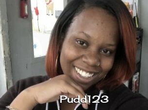 Pudd123