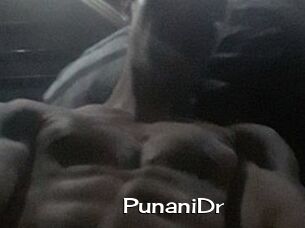 PunaniDr