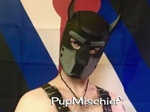 PupMischief