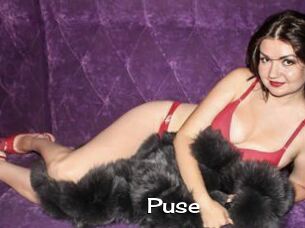 Puse
